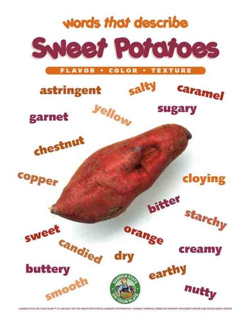 sweet potato vocabulary works