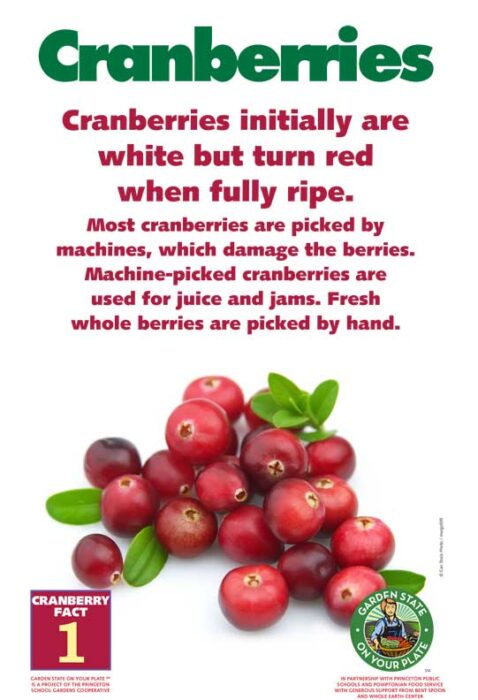 cranberries